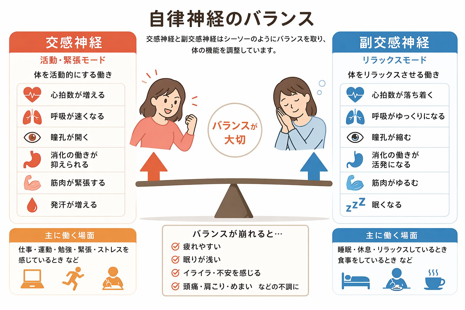 自律神経の仕組み(交感神経と副交感神経)のイメージ図