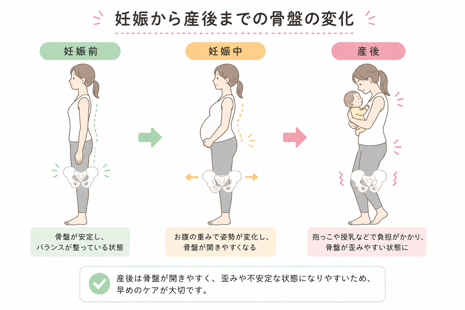 妊娠から産後までの骨盤の変化